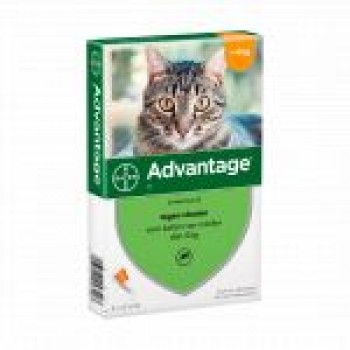 Advantage Desparasitante Gato -4Kg (Cx 4 Pipetas)