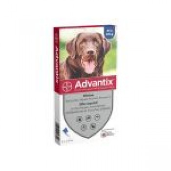 Advantix Pipetas Anti-parasitárias p/ Cão 25-40Kg (CX4 Pipetas)